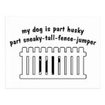 Part Husky Part Fence-Jumper Postcards