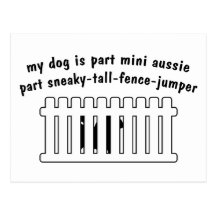 Part Mini Aussie Part Fence-Jumper Postcards