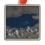 Part of the Dead Sea Christmas Tree Ornament