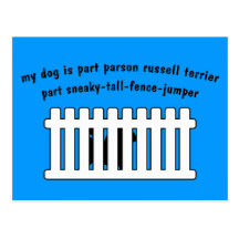 Part Parson Russell Terrier Part Fence-Jumper Postcard