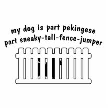 Part Pekingese Part Fence-Jumper Photo Cut Outs