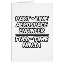 Part-Time Aerospace Engineer...Full-Time Ninja