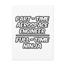 Part-Time Aerospace Engineer...Full-Time Ninja
