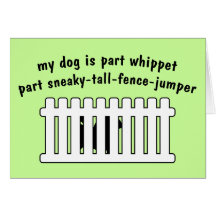 Part Whippet Part Fence-Jumper Card