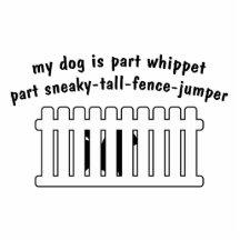 Part Whippet Part Fence-Jumper Photo Sculptures