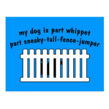 Part Whippet Part Fence-Jumper Postcards