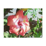 Partial Shade Postcard