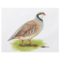 Partridge:  Chukar Personalized Flyer