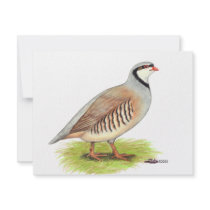 Partridge:  Chukar Custom Invitations