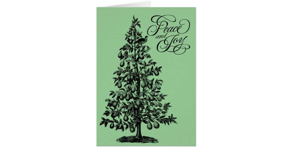 partridge in a pear tree greeting card zazzle partridge in a pear tree greeting card zazzle