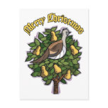 Partridge in a Pear Tree postcards