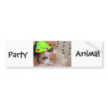 Party Animal/Calico Cat bumper stickers
