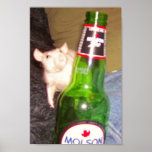 Party Animal Poster