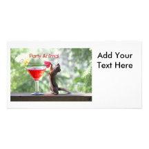 Party Animal Squirrel Photo Cards