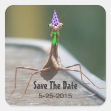 Party Bug Sticker