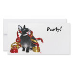 Party Bunny photo cards