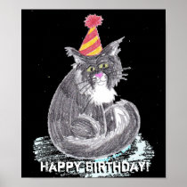 Party Cat