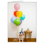 Party dog! greeting card