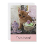 Party For One Kitten invitations
