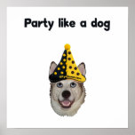 Party Like A Dog posters