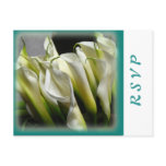 Party or wedding RSVP postcards - Calla Lilies