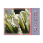 Party or wedding RSVP postcards - Calla Lilies