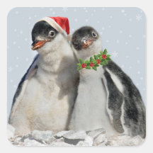 Party Penguins Sticker