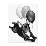 Party time French Bulldog postcard