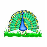 Pascal Peacock photo sculptures