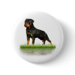 Pasha Earl Antonius buttons