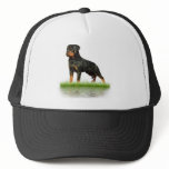 Pasha Earl Antonius hats