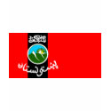 Pashtun Flag t-shirts