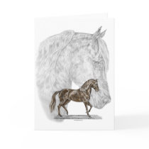 Paso Fino Horse Art