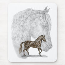 Paso Fino Horse Art