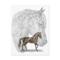 Paso Fino Horse Art