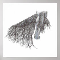 Paso Fino Horse Drawing