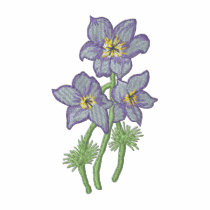 Pasque Flower