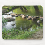 Passage Mouse Pad