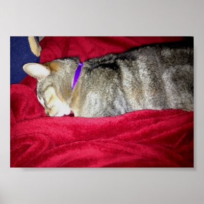 Passed Out Indigo Print