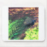 passingpeacock.gif mouse pad