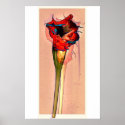 Passion Flower #1 posters