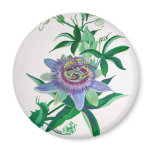 Passion Flower Magnets