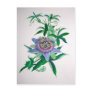 Passion Flower Postcards