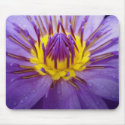 Passionate-Purple mousepads