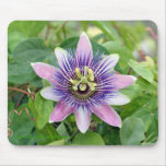 Passionvine Flower Mouse Pad