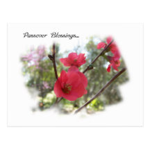 Passover Blessings Post Card