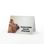 Passover Rabbit Does Not Bring Candy cards