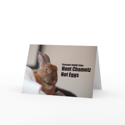 Passover Rabbit Says: Greeting Card by peelapom