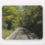 Past photo mousepad
