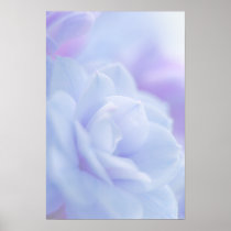 Pastel blue flower ... poster